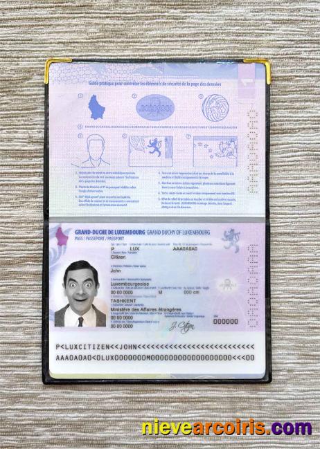 Luxembourg passport photolook